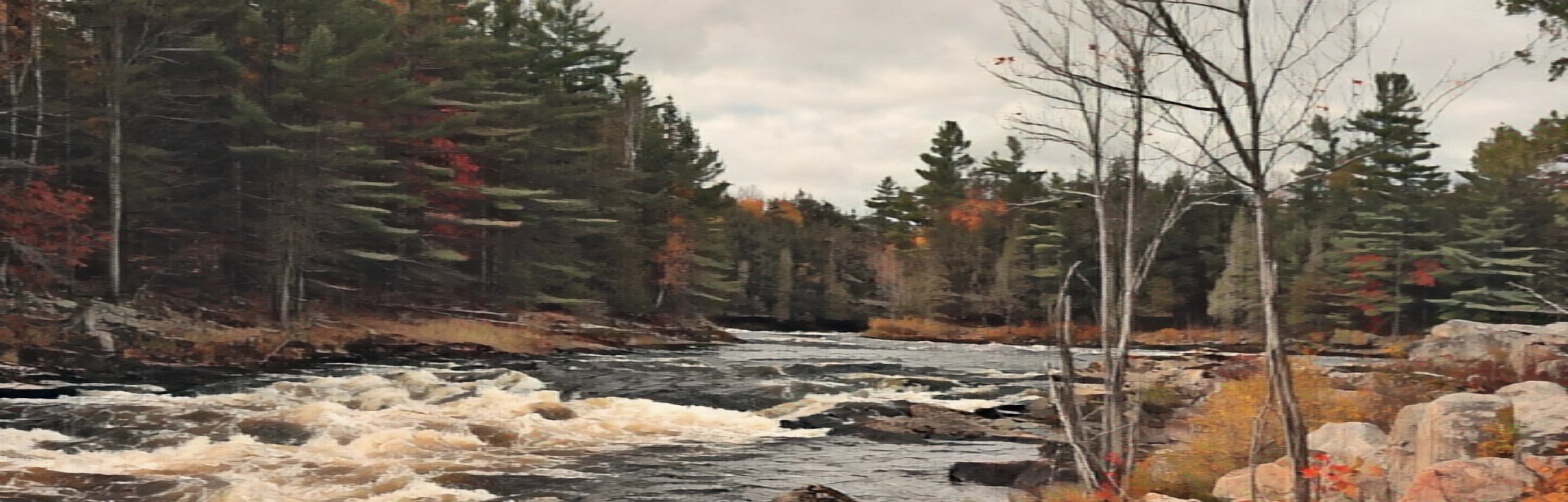 Beautiful raging river with rapids surrounded by trees and rocks
